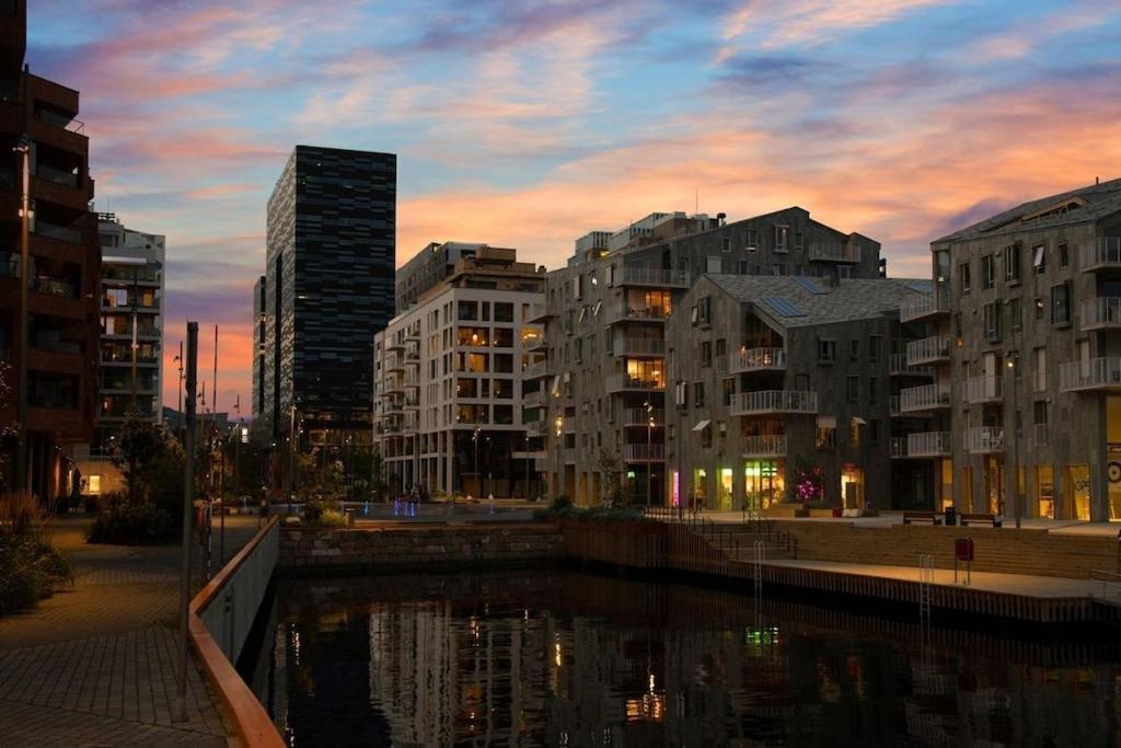 Lovely Central Apartment With Two Large Bedrooms Nearby Oslo Opera, Vis A Vis Botanical Garden Buitenkant foto