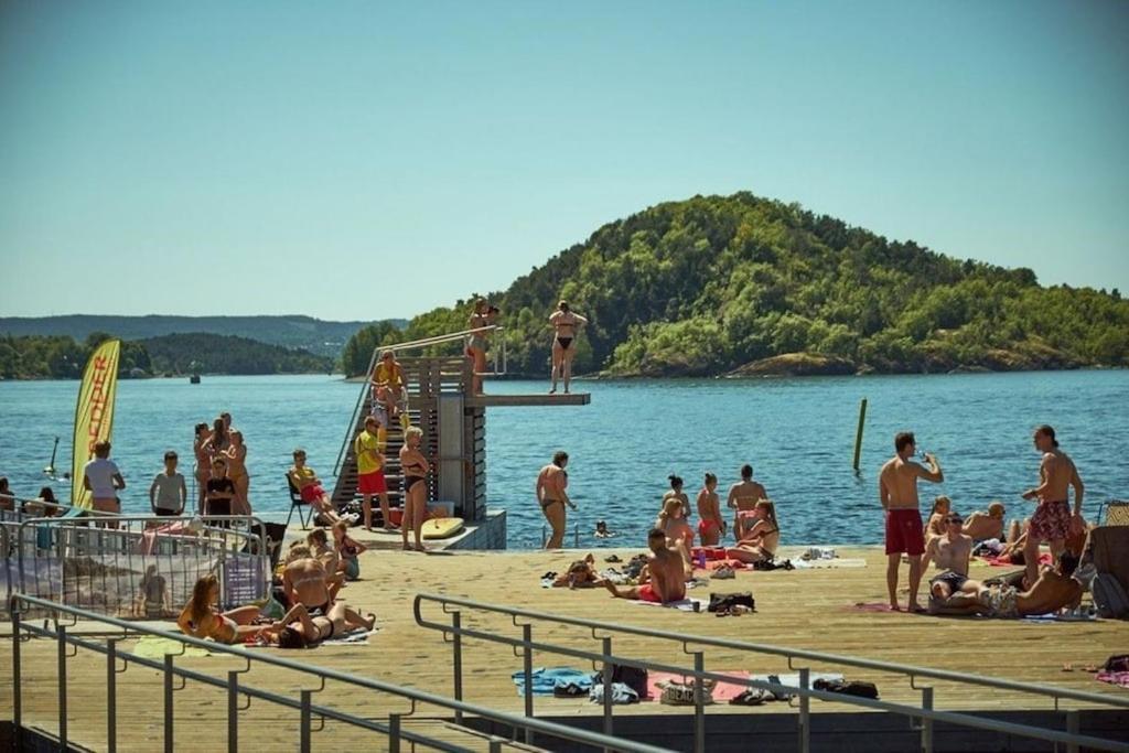 Lovely Central Apartment With Two Large Bedrooms Nearby Oslo Opera, Vis A Vis Botanical Garden Buitenkant foto